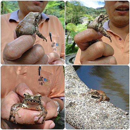 fWQj9ZaPUkCUnxbYQNWkiA