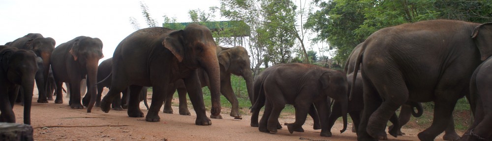 Rita與朋友們的自由空間