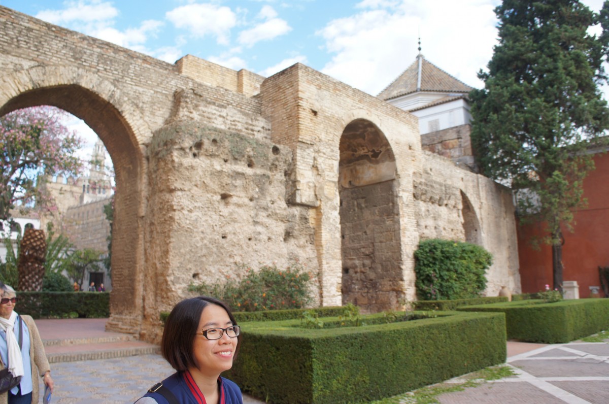 SONY DSC