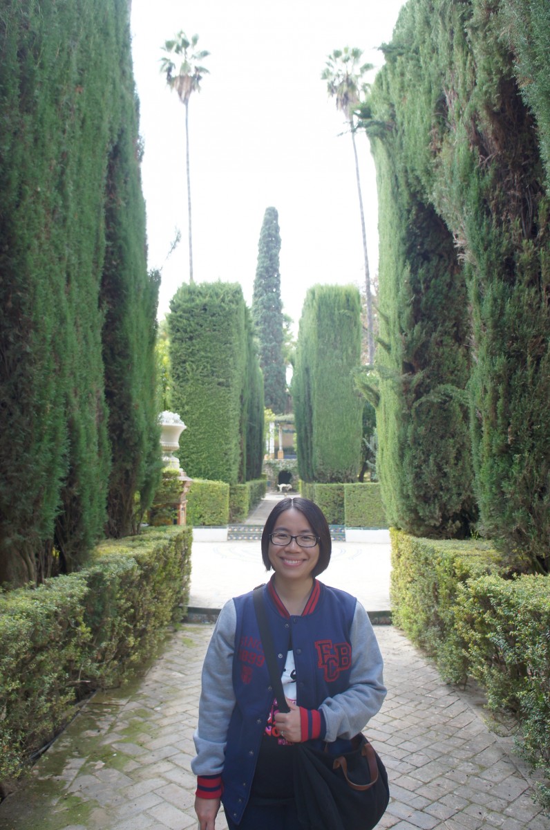 SONY DSC