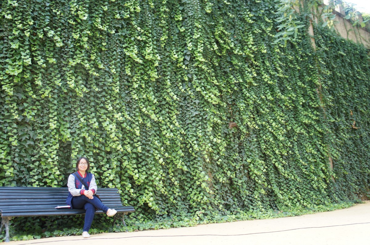 SONY DSC