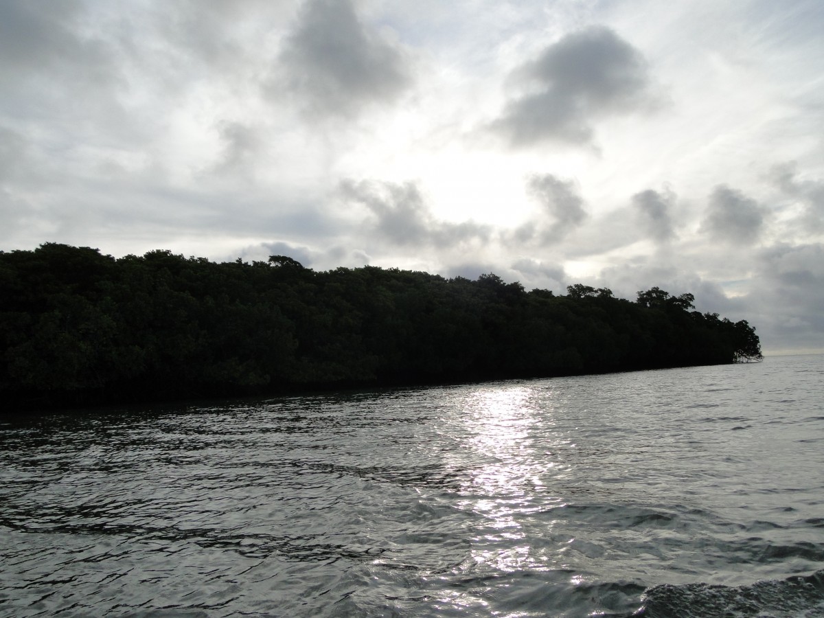 DSC02093