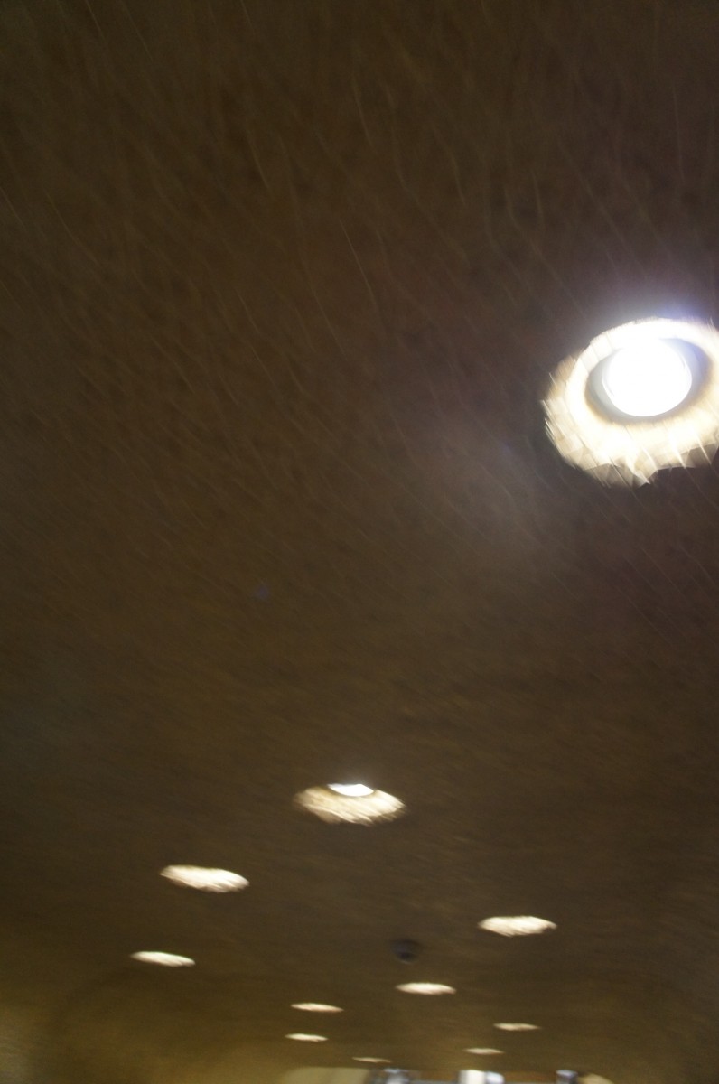 SONY DSC