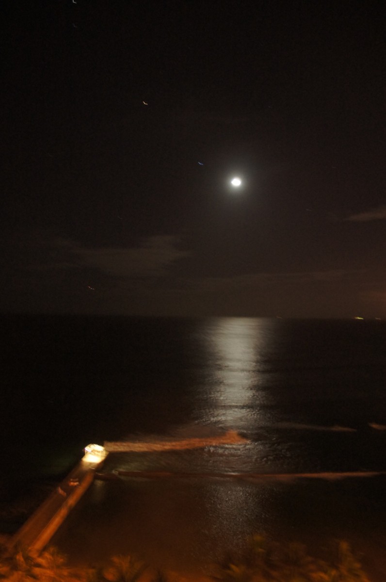 SONY DSC
