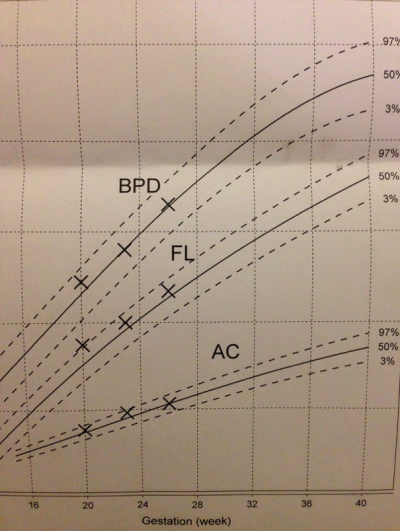 螢幕快照 2015-01-19 下午6.59.08