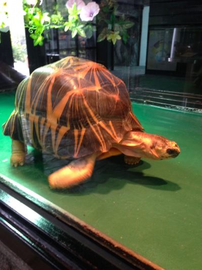 螢幕快照 2015-02-09 下午2.29.24