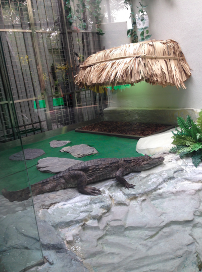 螢幕快照 2015-02-09 下午2.29.34