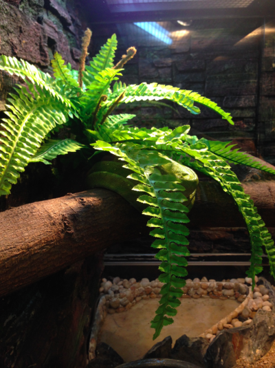 螢幕快照 2015-02-09 下午2.29.42