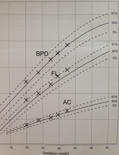 螢幕快照 2015-02-16 上午10.40.57