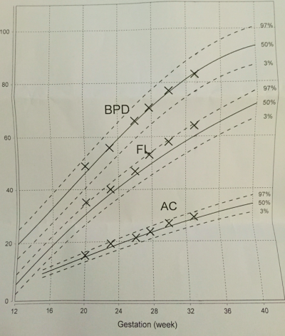螢幕快照 2015-03-07 下午5.39.28