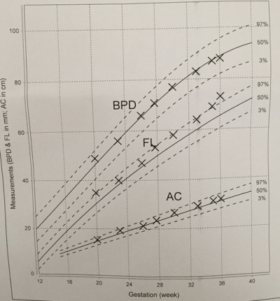 螢幕快照 2015-03-28 下午4.37.18