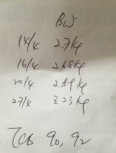 螢幕快照 2015-04-28 上午11.09.56