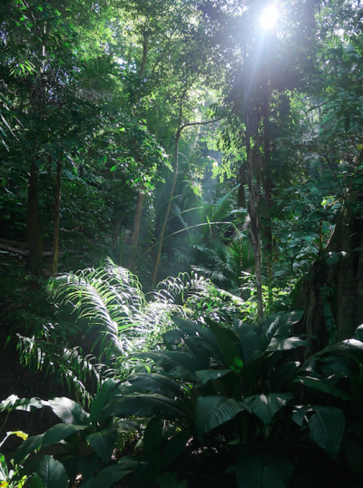 螢幕快照 2016-06-17 上午7.12.19