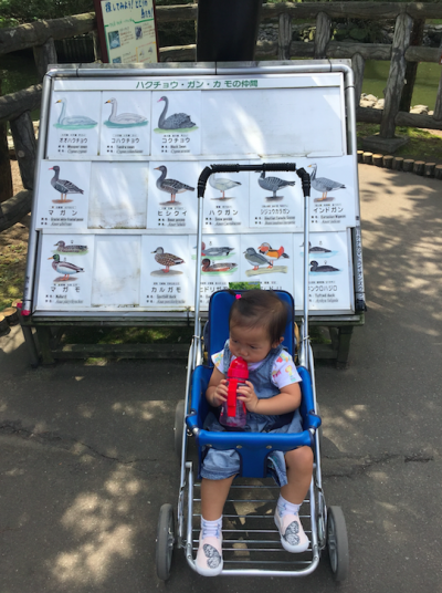 螢幕快照 2016-11-14 下午1.30.25