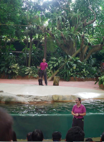 螢幕快照 2017-01-26 上午12.13.35