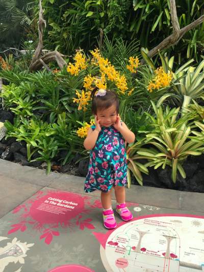 螢幕快照 2017-02-06 下午12.37.00