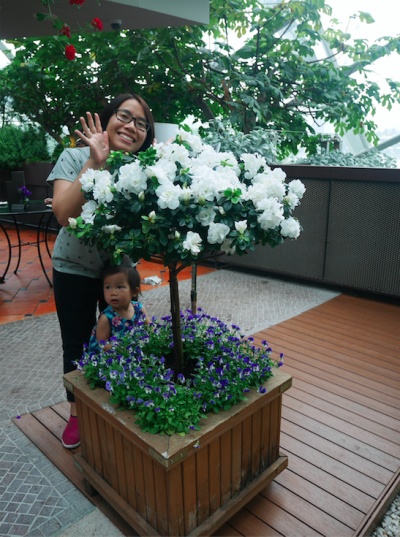 螢幕快照 2017-02-06 下午12.47.33